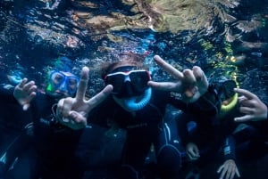 Estartit:Boat trip around Medes Island and Swim in the Coast