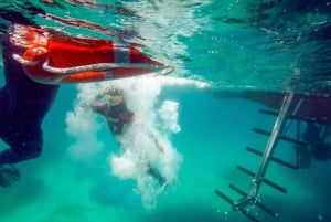 From L’Estartit: Snorkeling Trip to the Medes Islands