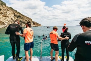 Från L'Estartit: Båttur med snorkling till Medesöarna