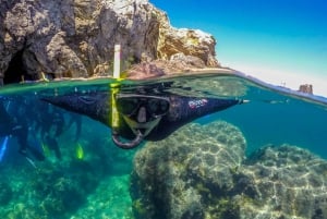 Depuis L’Estartit : sortie snorkeling aux îles Medes