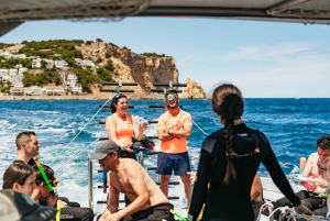 From L’Estartit: Snorkeling Trip to the Medes Islands