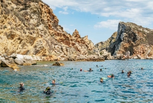 From L’Estartit: Snorkeling Trip to the Medes Islands