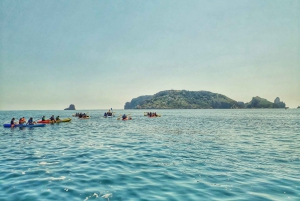 From L'Estartit: Sea Kayaking Tour to the Medes Islands