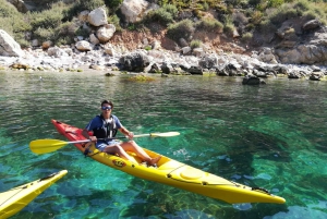 From L'Estartit: Sea Kayaking Tour to the Medes Islands