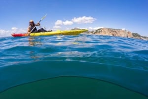 Fra L'Estartit: Kajakkpadling til Medes-øyene