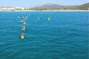 Fra L'Estartit: Kajakkpadling til Medes-øyene