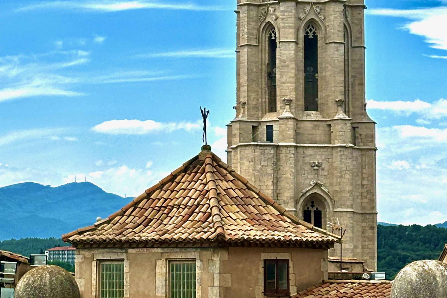 Von Madrid aus: Entdecke Segovia und feiere in einer familiengeführten Weinkellerei