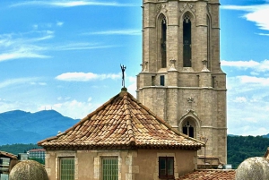 Von Madrid aus: Entdecke Segovia und feiere in einer familiengeführten Weinkellerei