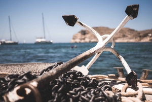 From Palamos: Scenic Boat Trip to Calella de Palafrugell