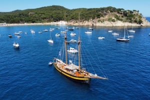 From Palamos: Scenic Boat Trip to Calella de Palafrugell