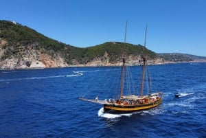 Från Palamos: Naturskön båttur till Calella de Palafrugell