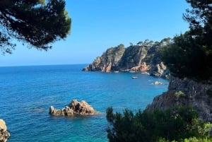 Из Розы:Приключение в Кап-де-Креус: откройте для себя и искупайтесь в дикой бухте