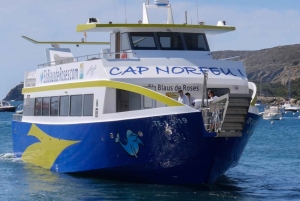 Depuis Roses : Excursion en bateau et visite de Cadaqués toute la journée.