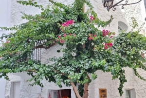Depuis Roses : Tour en bateau de la côte catalane de Cadaqués