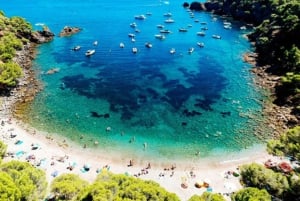 From Roses: Cap Norfeu and Tamariu Cave Boat Tour