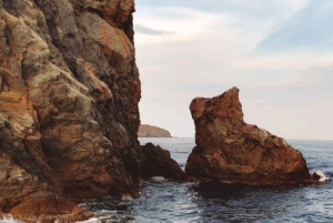 From Roses: Cap Norfeu and Tamariu Cave Boat Tour