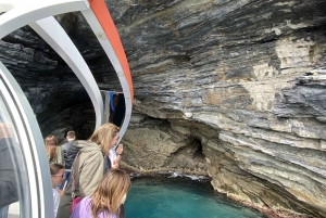 From Roses: Cap Norfeu Glass Bottom Boat Tour & Tamariu Cave