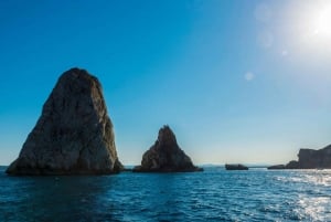 Von Roses aus: Bootstour zu den Medes-Inseln mit Besuch von El Estartit