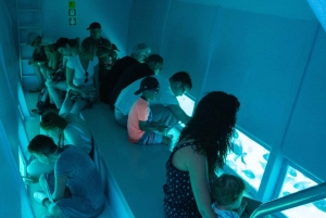 Z Roses: Rejs wycieczkowy na Wyspy Medes z wizytą w El Estartit