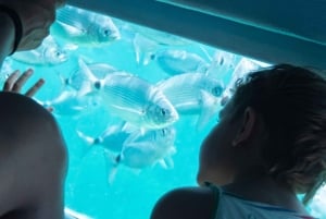 Z Roses: Rejs wycieczkowy na Wyspy Medes z wizytą w El Estartit