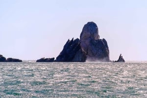 Z Roses: Rejs wycieczkowy na Wyspy Medes z wizytą w El Estartit