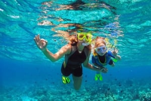 Vanuit Roses: Middag catamarantocht - Cap de Creus