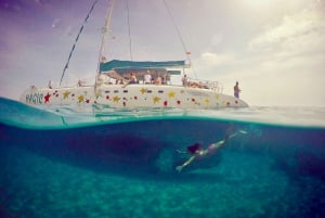 Från rosor: Segling katamaran kryssning till Medesöarna
