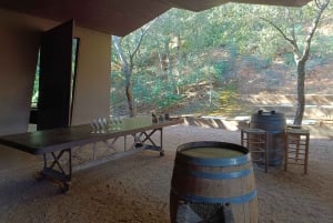 Girona: Tur til lokale vingårde med morgenmad og vinsmagning