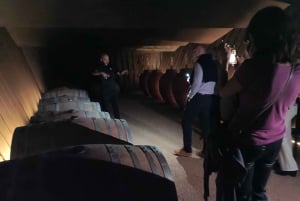 Girona: rondleiding door lokale wijnkelders met ontbijt en wijnproeverij