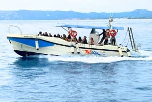 Guided Boat Tour to Medes Islands & Roca Foradada with Swim