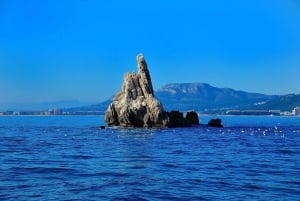 Guided Boat Tour to Medes Islands & Roca Foradada with Swim