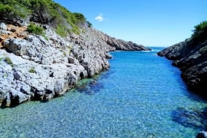 Guided Boat Tour to Medes Islands & Roca Foradada with Swim