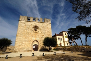 Jewish Legacy Tour: Girona, Besalú and Castelló d'Empúries from Barcelona