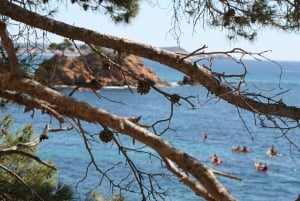 Kajakken en snorkelen in Playa de Aro, Costa Brava