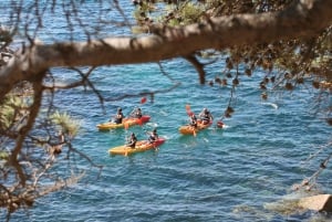 Kajak og snorkling i Playa de Aro, Costa Brava