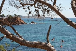 Kajak og snorkling i Playa de Aro, Costa Brava