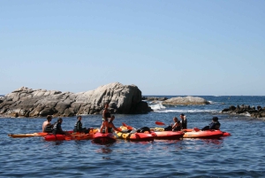 Kajak og snorkling i Playa de Aro, Costa Brava