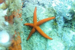 Kajak- och snorkeltur Platja d'Aro