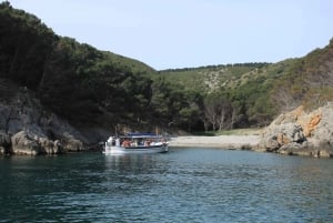 L'Estartit: Passeio de barco para as Ilhas Medes e as cavernas NP