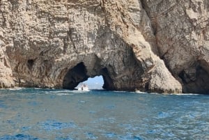 L'Estartit: Passeio de barco às Ilhas Medes e às grutas