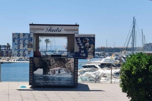 L'Estartit: Passeio de barco às Ilhas Medes e às grutas