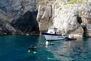 L'Estartit: Dive and Snorkeling in Montgrí Natural Park