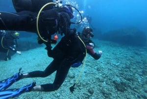 L'Estartit: Dive and Snorkeling in Montgrí Natural Park