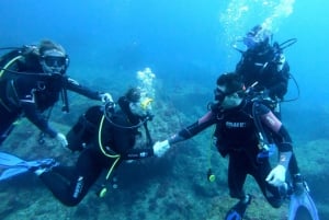L'Estartit: Dive and Snorkeling in Montgrí Natural Park