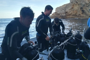 L'Estartit: Explore the Sea with a Diving License