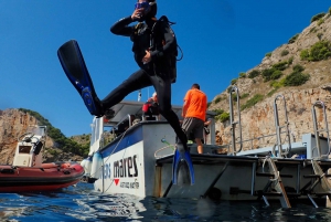 L'Estartit: Explore the Sea with a Diving License