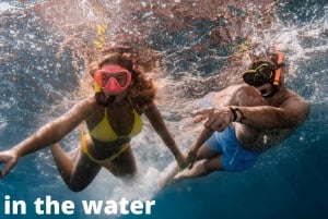 L'Estartit: Bootstour zu den Medas-Inseln und Schwimmen im Montgrí-Park