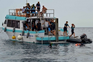 L'Estartit: cruise op de Medes-eilanden met begeleid snorkelen