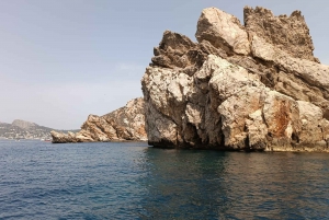 L'Estartit: Krydstogt til Medes-øerne med guidet snorkling