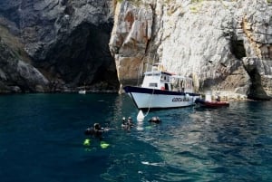 L'Estartit: Prøv at dykke og snorkle i Montgrí National Park